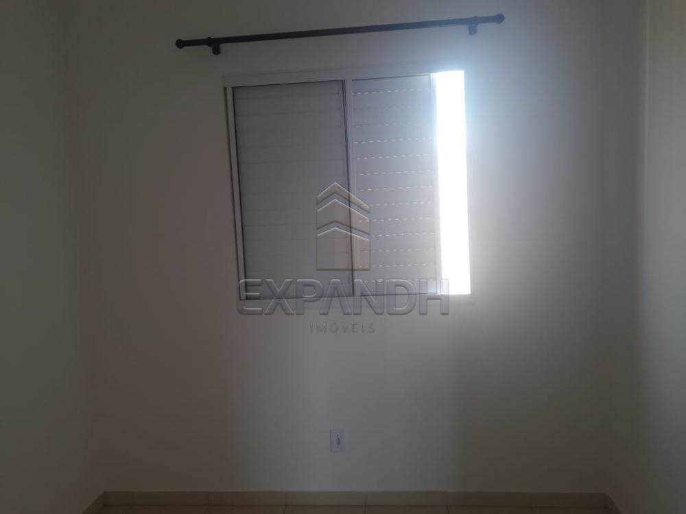 Alugar Apartamentos / Padrão em Sertãozinho apenas R$ 850,00 - Foto 16 Alugar Apartamentos / Padrão em Sertãozinho apenas R$ 850,00 - Foto 16