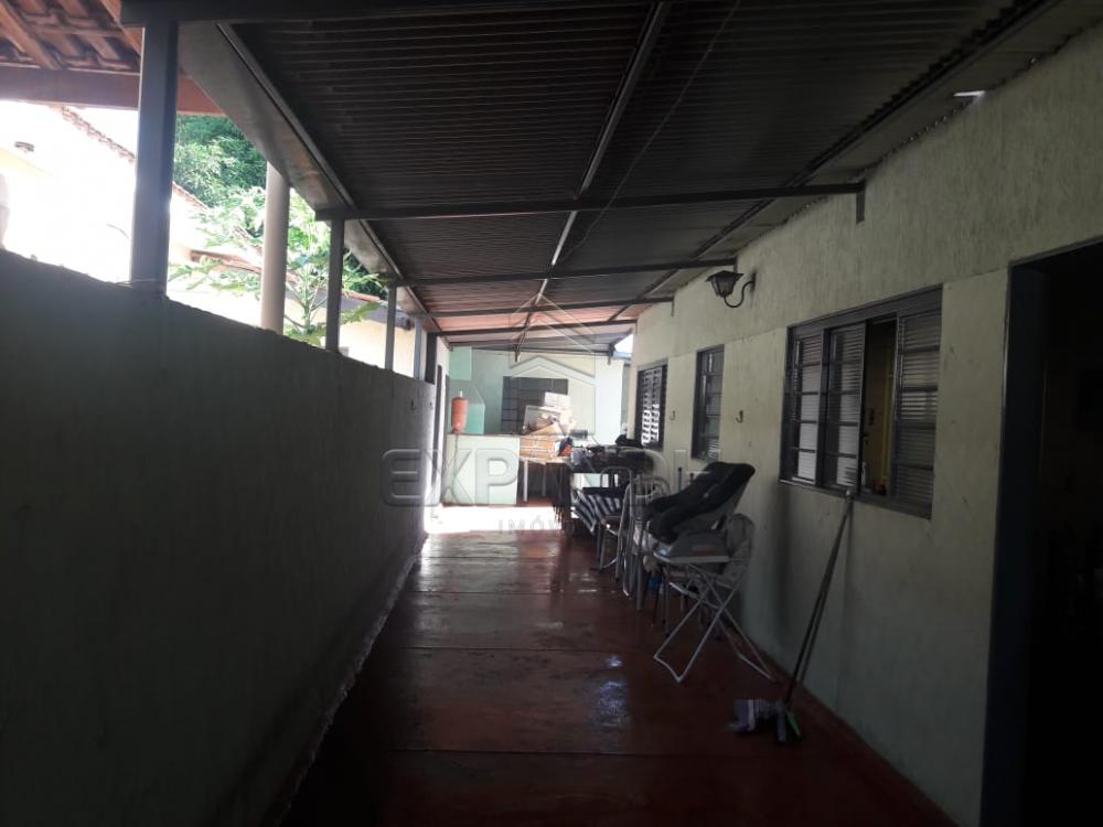 Comprar Casas / Padrão em Sertãozinho apenas R$ 280.000,00 - Foto 13 Comprar Casas / Padrão em Sertãozinho apenas R$ 280.000,00 - Foto 13