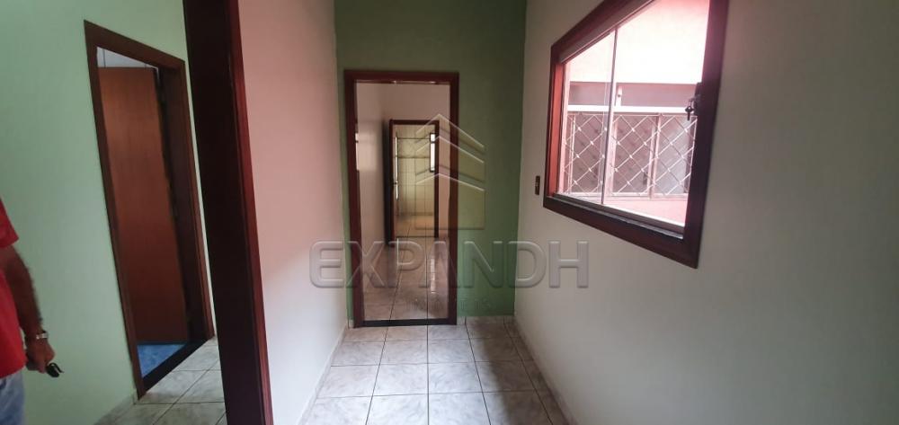 Alugar Casas / Padrão em Sertãozinho apenas R$ 1.500,00 - Foto 17 Alugar Casas / Padrão em Sertãozinho apenas R$ 1.500,00 - Foto 17