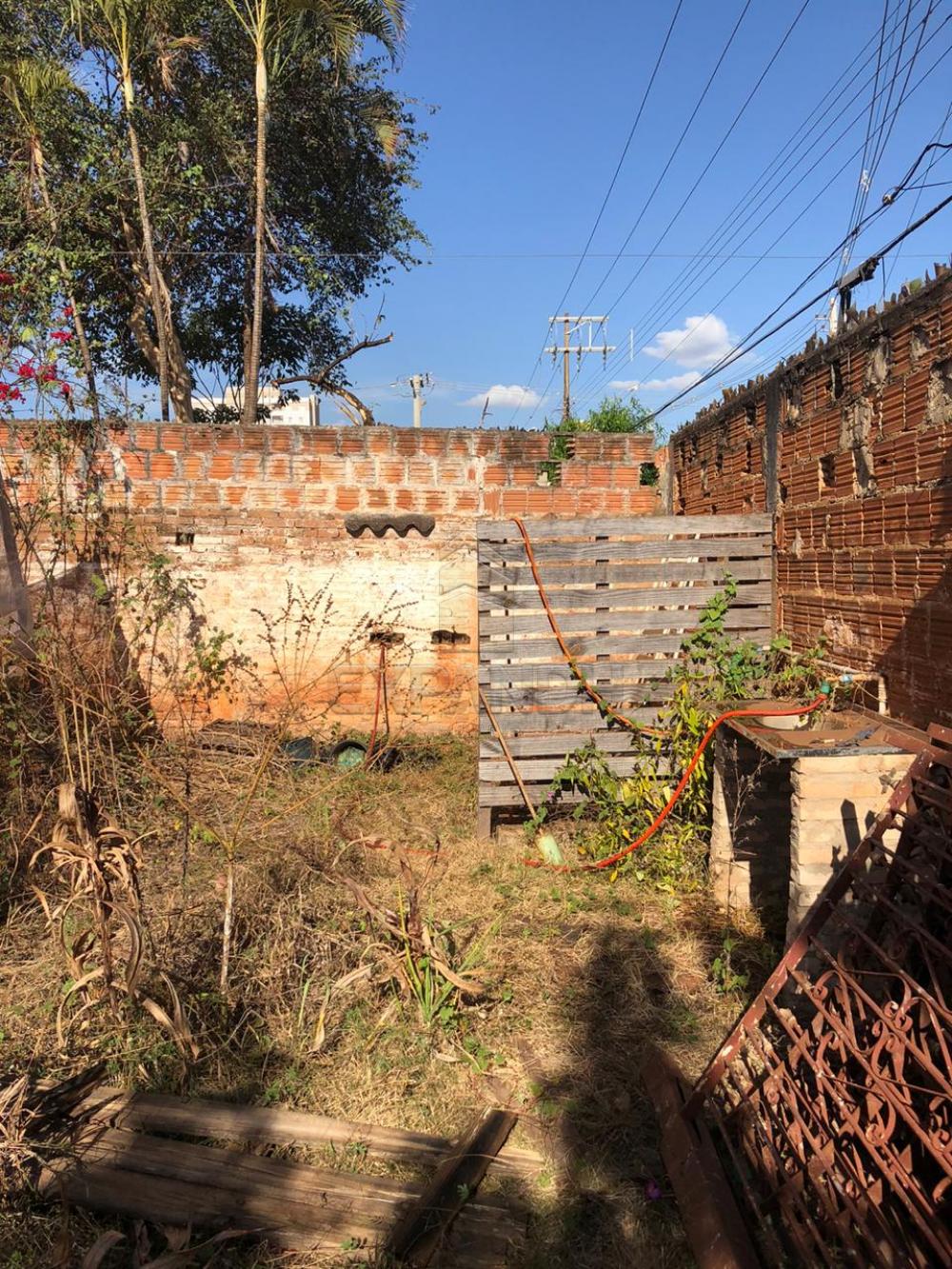 Alugar Terrenos / Área em Sertãozinho R$ 1.200,00 - Foto 2 Alugar Terrenos / Área em Sertãozinho R$ 1.200,00 - Foto 2