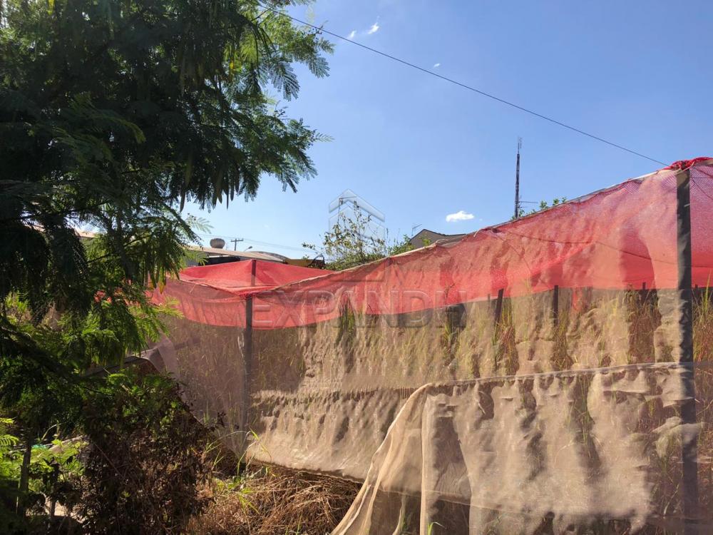 Alugar Terrenos / Área em Sertãozinho R$ 1.200,00 - Foto 3 Alugar Terrenos / Área em Sertãozinho R$ 1.200,00 - Foto 3