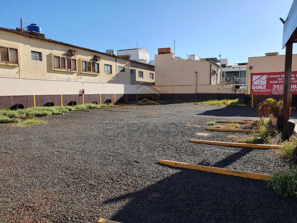 Comprar Terrenos / Padrão em Sertãozinho apenas R$ 3.000.000,00 - Foto 14 Comprar Terrenos / Padrão em Sertãozinho apenas R$ 3.000.000,00 - Foto 14