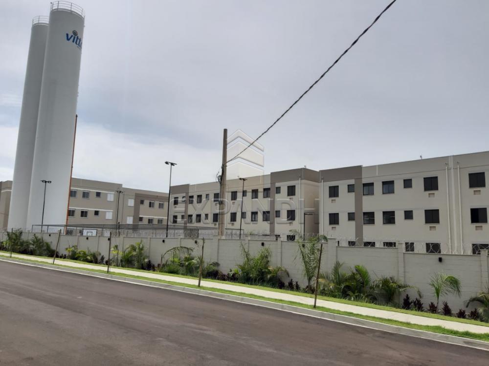 Alugar Apartamentos / Padrão em Sertãozinho apenas R$ 450,00 - Foto 1 Alugar Apartamentos / Padrão em Sertãozinho apenas R$ 450,00 - Foto 1