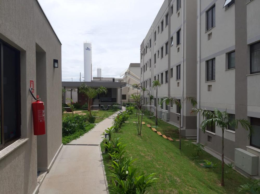 Alugar Apartamentos / Padrão em Sertãozinho apenas R$ 450,00 - Foto 4 Alugar Apartamentos / Padrão em Sertãozinho apenas R$ 450,00 - Foto 4