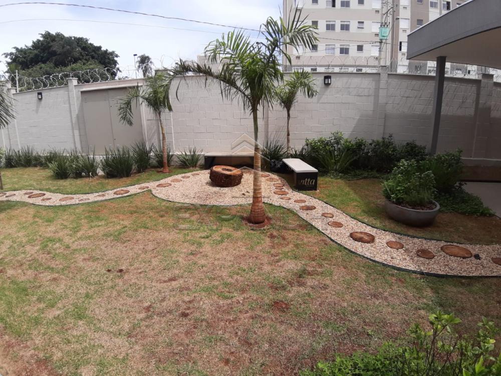 Alugar Apartamentos / Padrão em Sertãozinho apenas R$ 450,00 - Foto 5 Alugar Apartamentos / Padrão em Sertãozinho apenas R$ 450,00 - Foto 5