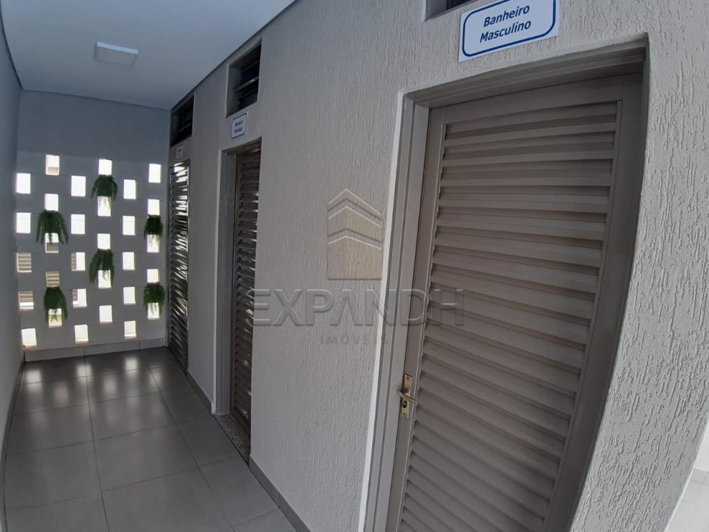 Alugar Apartamentos / Padrão em Sertãozinho apenas R$ 450,00 - Foto 9 Alugar Apartamentos / Padrão em Sertãozinho apenas R$ 450,00 - Foto 9