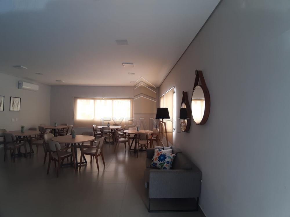 Alugar Apartamentos / Padrão em Sertãozinho apenas R$ 450,00 - Foto 10 Alugar Apartamentos / Padrão em Sertãozinho apenas R$ 450,00 - Foto 10