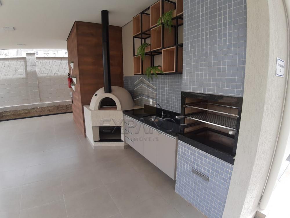 Alugar Apartamentos / Padrão em Sertãozinho apenas R$ 450,00 - Foto 13 Alugar Apartamentos / Padrão em Sertãozinho apenas R$ 450,00 - Foto 13