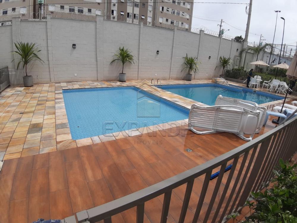 Alugar Apartamentos / Padrão em Sertãozinho apenas R$ 450,00 - Foto 14 Alugar Apartamentos / Padrão em Sertãozinho apenas R$ 450,00 - Foto 14
