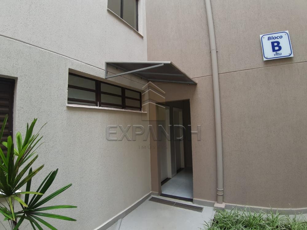 Alugar Apartamentos / Padrão em Sertãozinho apenas R$ 450,00 - Foto 21 Alugar Apartamentos / Padrão em Sertãozinho apenas R$ 450,00 - Foto 21