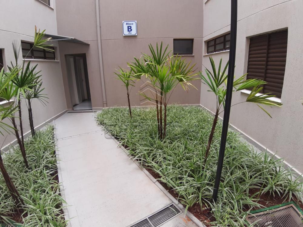 Alugar Apartamentos / Padrão em Sertãozinho apenas R$ 450,00 - Foto 22 Alugar Apartamentos / Padrão em Sertãozinho apenas R$ 450,00 - Foto 22