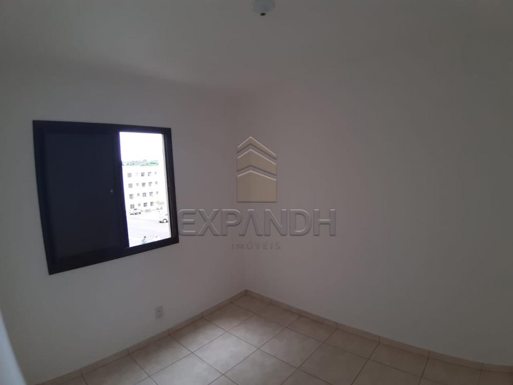 Alugar Apartamentos / Padrão em Sertãozinho apenas R$ 450,00 - Foto 24 Alugar Apartamentos / Padrão em Sertãozinho apenas R$ 450,00 - Foto 24