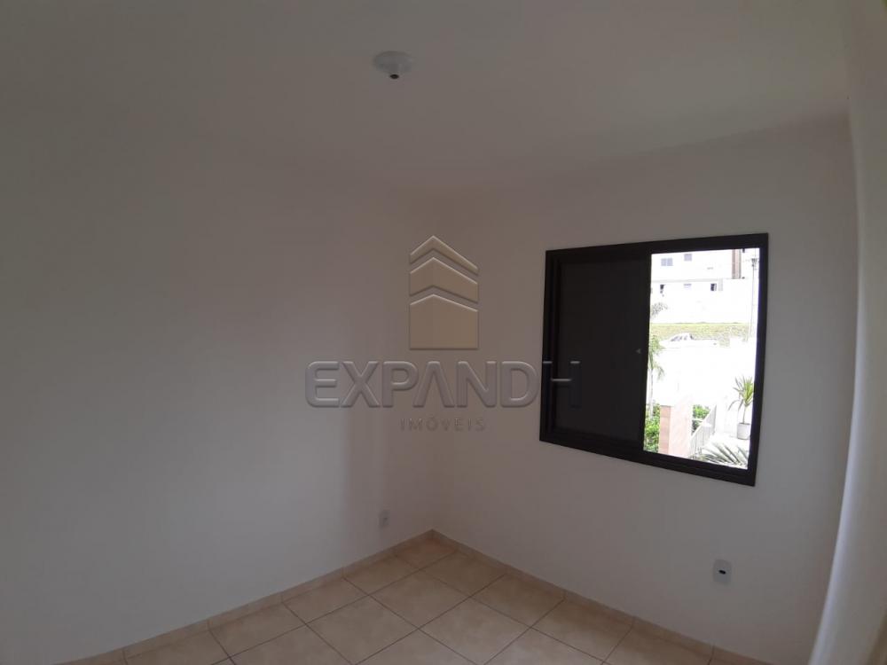 Alugar Apartamentos / Padrão em Sertãozinho apenas R$ 450,00 - Foto 26 Alugar Apartamentos / Padrão em Sertãozinho apenas R$ 450,00 - Foto 26