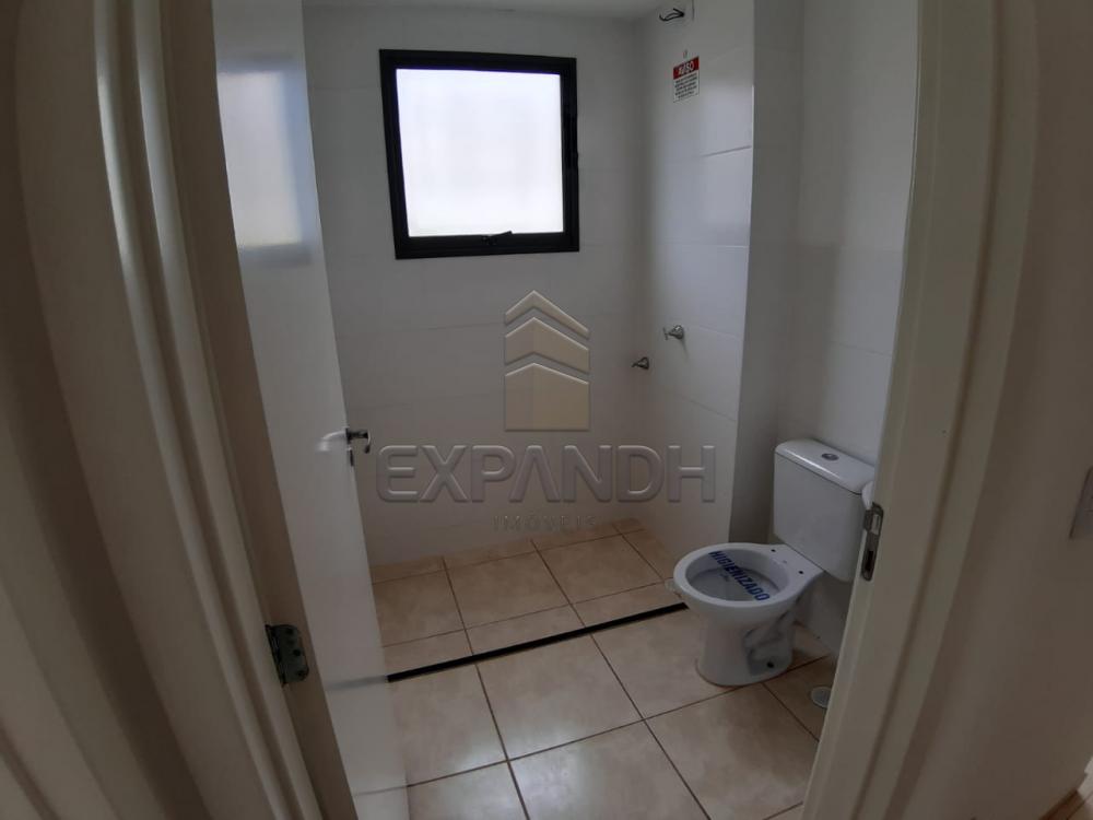Alugar Apartamentos / Padrão em Sertãozinho apenas R$ 450,00 - Foto 30 Alugar Apartamentos / Padrão em Sertãozinho apenas R$ 450,00 - Foto 30