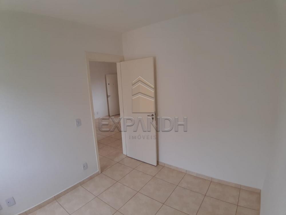 Alugar Apartamentos / Padrão em Sertãozinho apenas R$ 450,00 - Foto 31 Alugar Apartamentos / Padrão em Sertãozinho apenas R$ 450,00 - Foto 31