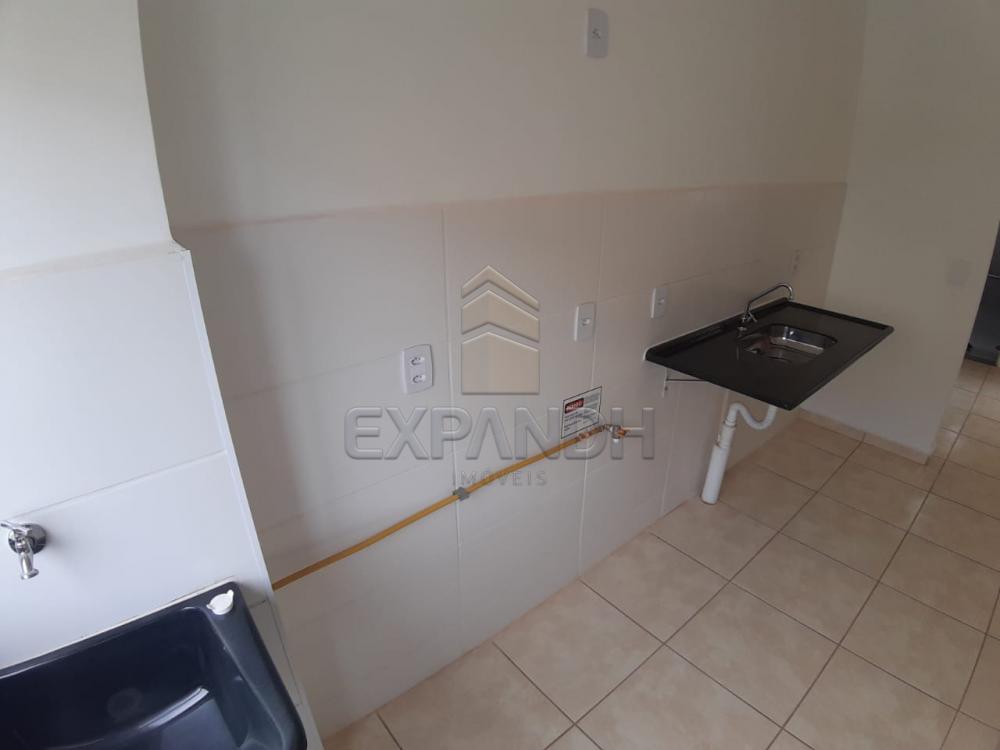 Alugar Apartamentos / Padrão em Sertãozinho apenas R$ 450,00 - Foto 32 Alugar Apartamentos / Padrão em Sertãozinho apenas R$ 450,00 - Foto 32