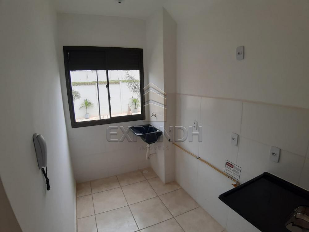 Alugar Apartamentos / Padrão em Sertãozinho apenas R$ 450,00 - Foto 33 Alugar Apartamentos / Padrão em Sertãozinho apenas R$ 450,00 - Foto 33