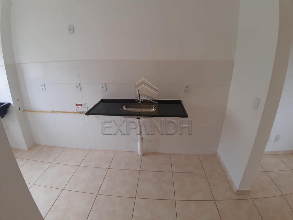 Alugar Apartamentos / Padrão em Sertãozinho apenas R$ 450,00 - Foto 34 Alugar Apartamentos / Padrão em Sertãozinho apenas R$ 450,00 - Foto 34