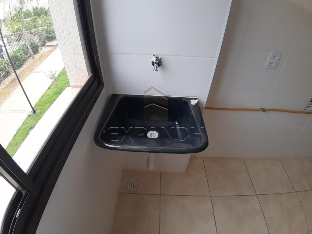 Alugar Apartamentos / Padrão em Sertãozinho apenas R$ 450,00 - Foto 35 Alugar Apartamentos / Padrão em Sertãozinho apenas R$ 450,00 - Foto 35