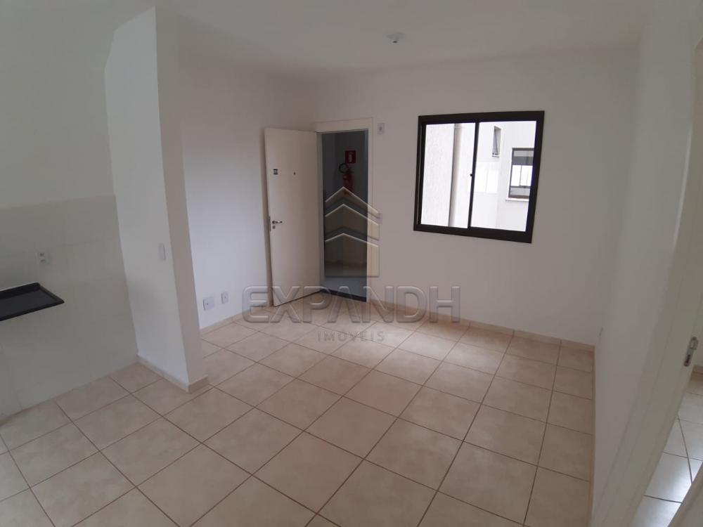 Alugar Apartamentos / Padrão em Sertãozinho apenas R$ 450,00 - Foto 37 Alugar Apartamentos / Padrão em Sertãozinho apenas R$ 450,00 - Foto 37
