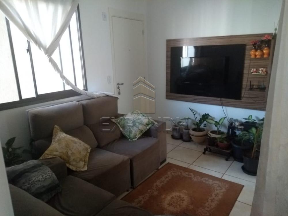 Alugar Apartamentos / Padrão em Sertãozinho apenas R$ 600,00 - Foto 11 Alugar Apartamentos / Padrão em Sertãozinho apenas R$ 600,00 - Foto 11