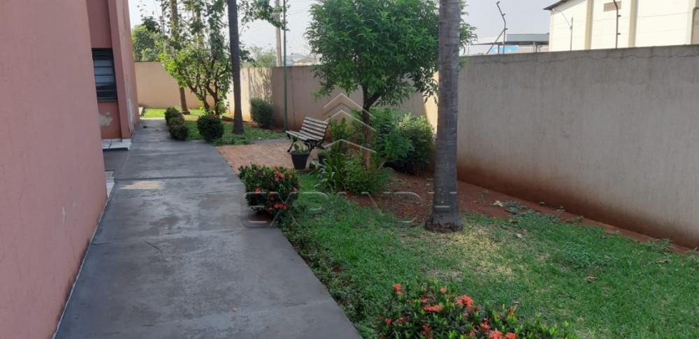 Comprar Apartamentos / Padrão em Sertãozinho apenas R$ 150.000,00 - Foto 3 Comprar Apartamentos / Padrão em Sertãozinho apenas R$ 150.000,00 - Foto 3
