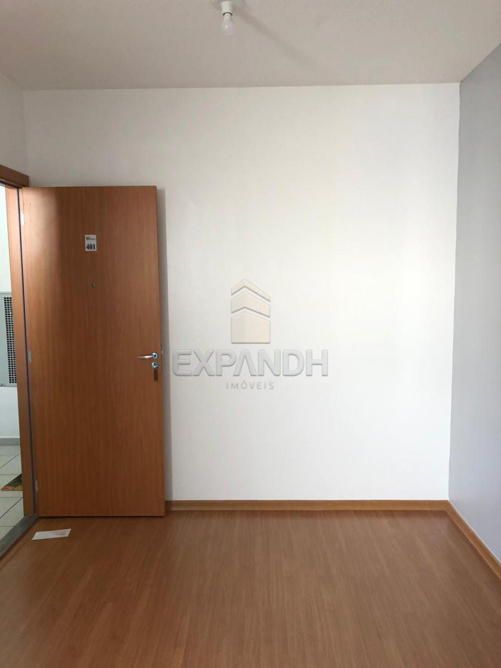 Alugar Apartamentos / Padrão em Sertãozinho apenas R$ 650,00 - Foto 3 Alugar Apartamentos / Padrão em Sertãozinho apenas R$ 650,00 - Foto 3