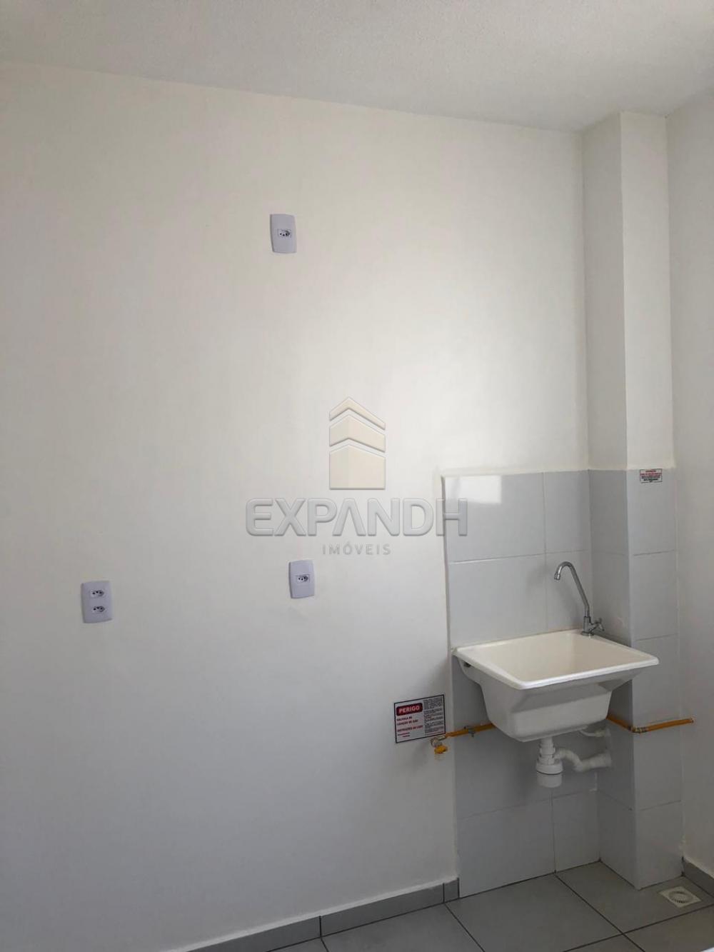 Alugar Apartamentos / Padrão em Sertãozinho apenas R$ 650,00 - Foto 4 Alugar Apartamentos / Padrão em Sertãozinho apenas R$ 650,00 - Foto 4