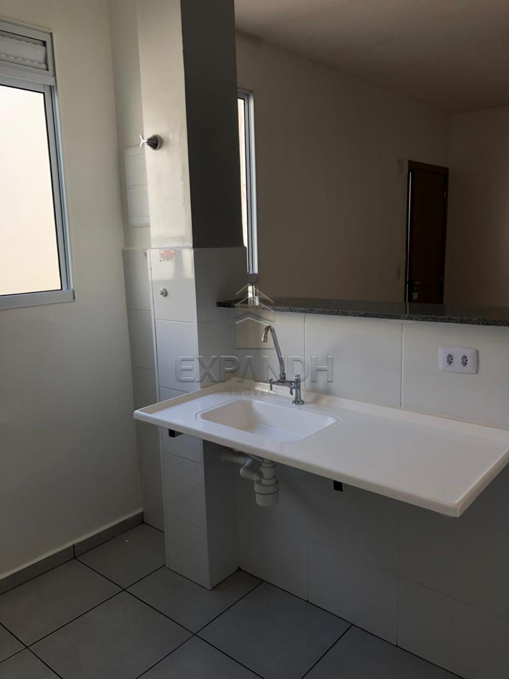 Alugar Apartamentos / Padrão em Sertãozinho apenas R$ 650,00 - Foto 5 Alugar Apartamentos / Padrão em Sertãozinho apenas R$ 650,00 - Foto 5