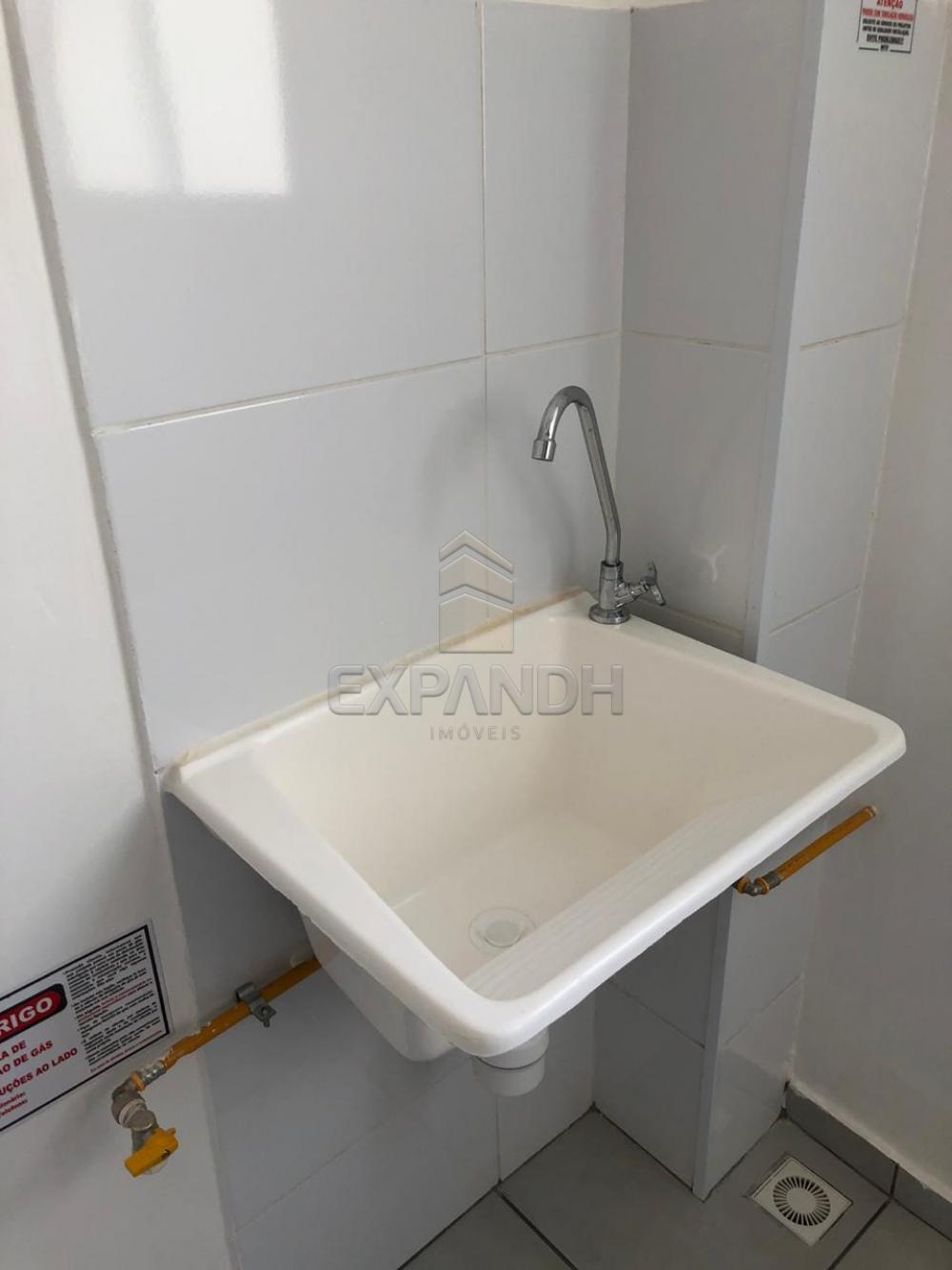 Alugar Apartamentos / Padrão em Sertãozinho apenas R$ 650,00 - Foto 6 Alugar Apartamentos / Padrão em Sertãozinho apenas R$ 650,00 - Foto 6