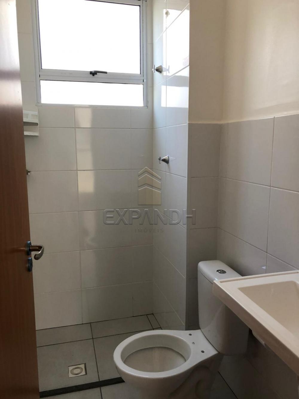 Alugar Apartamentos / Padrão em Sertãozinho apenas R$ 650,00 - Foto 10 Alugar Apartamentos / Padrão em Sertãozinho apenas R$ 650,00 - Foto 10