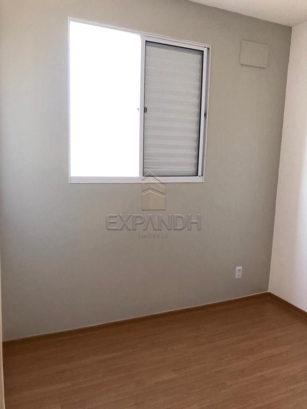 Alugar Apartamentos / Padrão em Sertãozinho apenas R$ 650,00 - Foto 12 Alugar Apartamentos / Padrão em Sertãozinho apenas R$ 650,00 - Foto 12