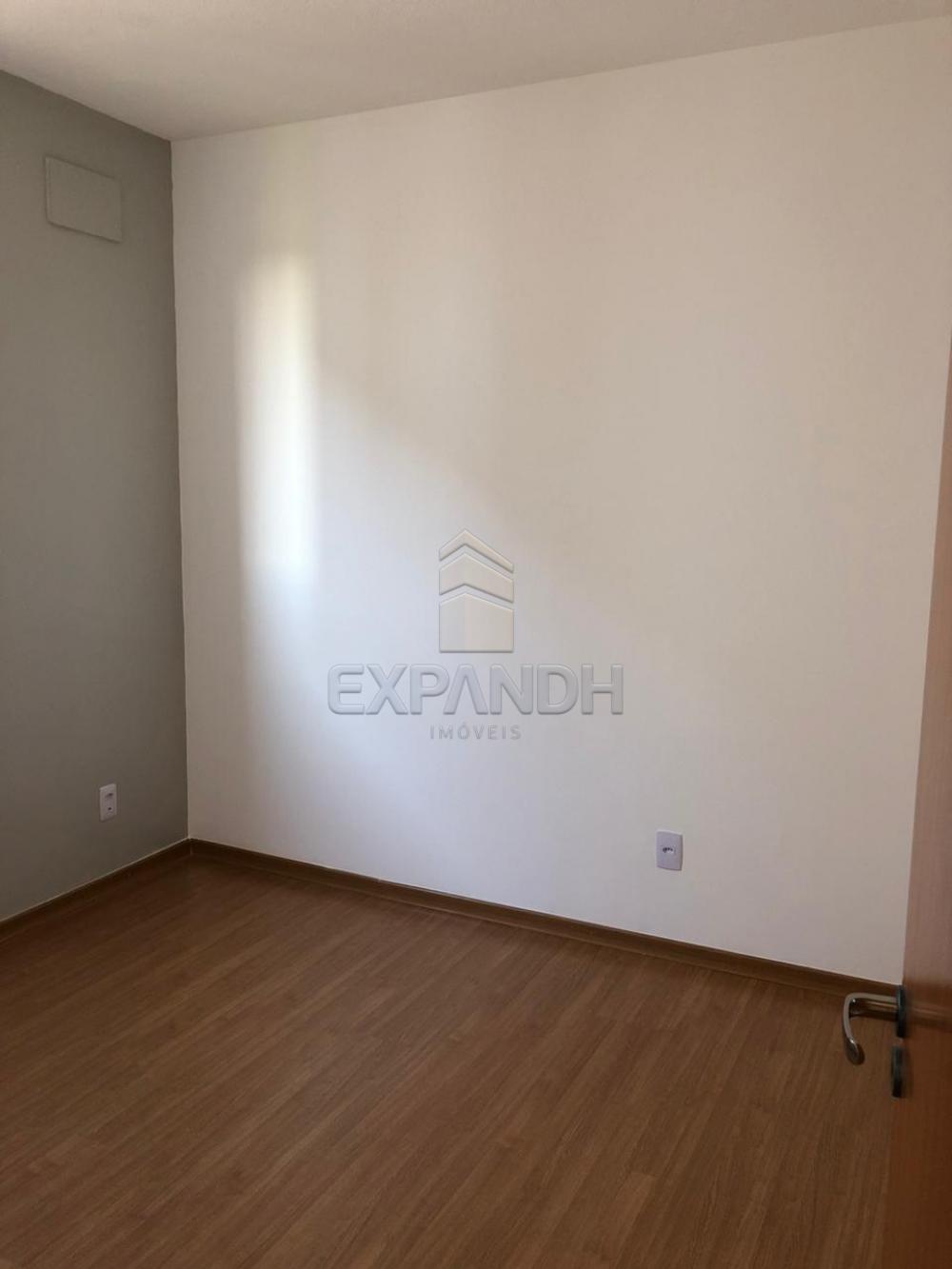 Alugar Apartamentos / Padrão em Sertãozinho apenas R$ 650,00 - Foto 13 Alugar Apartamentos / Padrão em Sertãozinho apenas R$ 650,00 - Foto 13