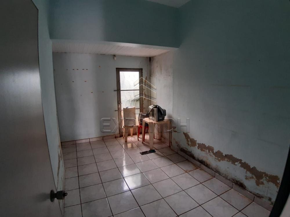 Alugar Casas / Padrão em Sertãozinho apenas R$ 900,00 - Foto 4 Alugar Casas / Padrão em Sertãozinho apenas R$ 900,00 - Foto 4