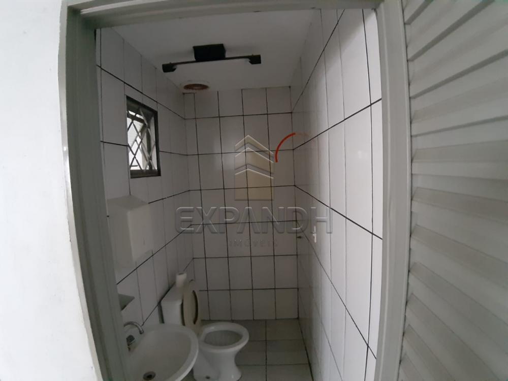 Alugar Casas / Padrão em Sertãozinho apenas R$ 900,00 - Foto 9 Alugar Casas / Padrão em Sertãozinho apenas R$ 900,00 - Foto 9