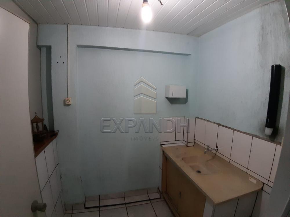 Alugar Casas / Padrão em Sertãozinho apenas R$ 900,00 - Foto 14 Alugar Casas / Padrão em Sertãozinho apenas R$ 900,00 - Foto 14