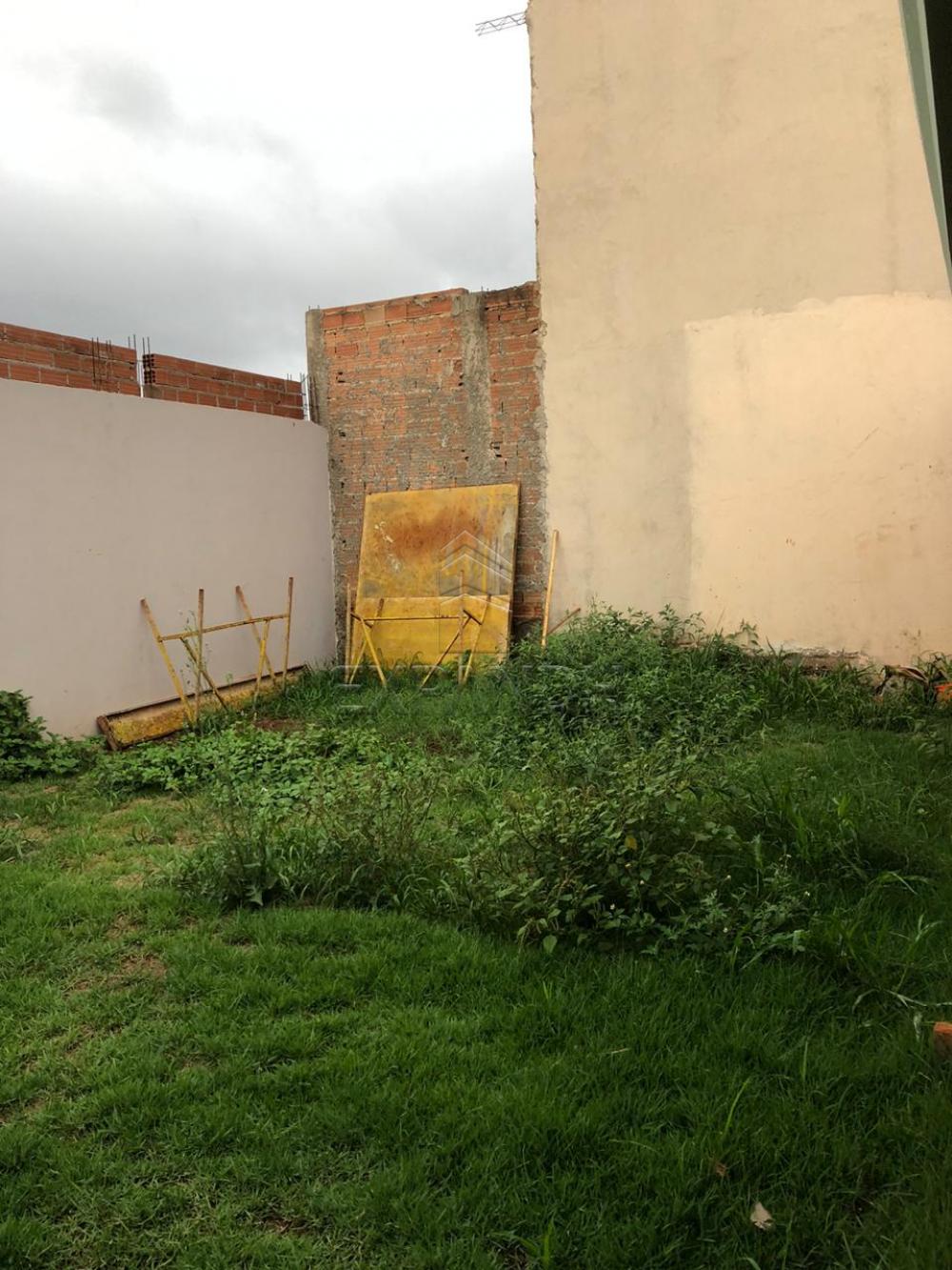 Alugar Casas / Padrão em Sertãozinho R$ 1.050,00 - Foto 13 Alugar Casas / Padrão em Sertãozinho R$ 1.050,00 - Foto 13