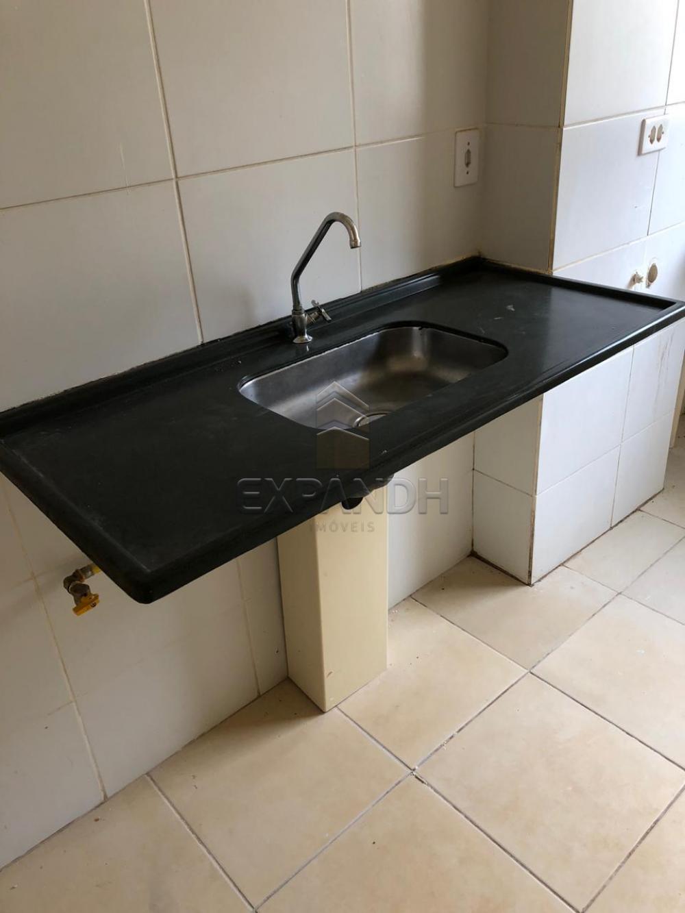 Alugar Apartamentos / Padrão em Sertãozinho R$ 650,00 - Foto 6 Alugar Apartamentos / Padrão em Sertãozinho R$ 650,00 - Foto 6