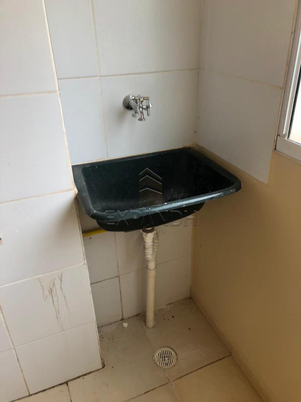 Alugar Apartamentos / Padrão em Sertãozinho R$ 650,00 - Foto 7 Alugar Apartamentos / Padrão em Sertãozinho R$ 650,00 - Foto 7