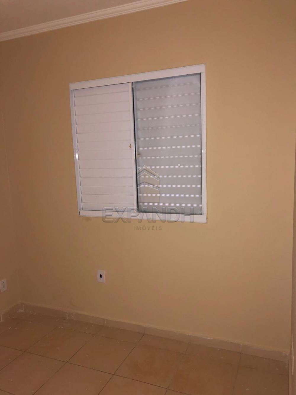 Alugar Apartamentos / Padrão em Sertãozinho R$ 650,00 - Foto 8 Alugar Apartamentos / Padrão em Sertãozinho R$ 650,00 - Foto 8