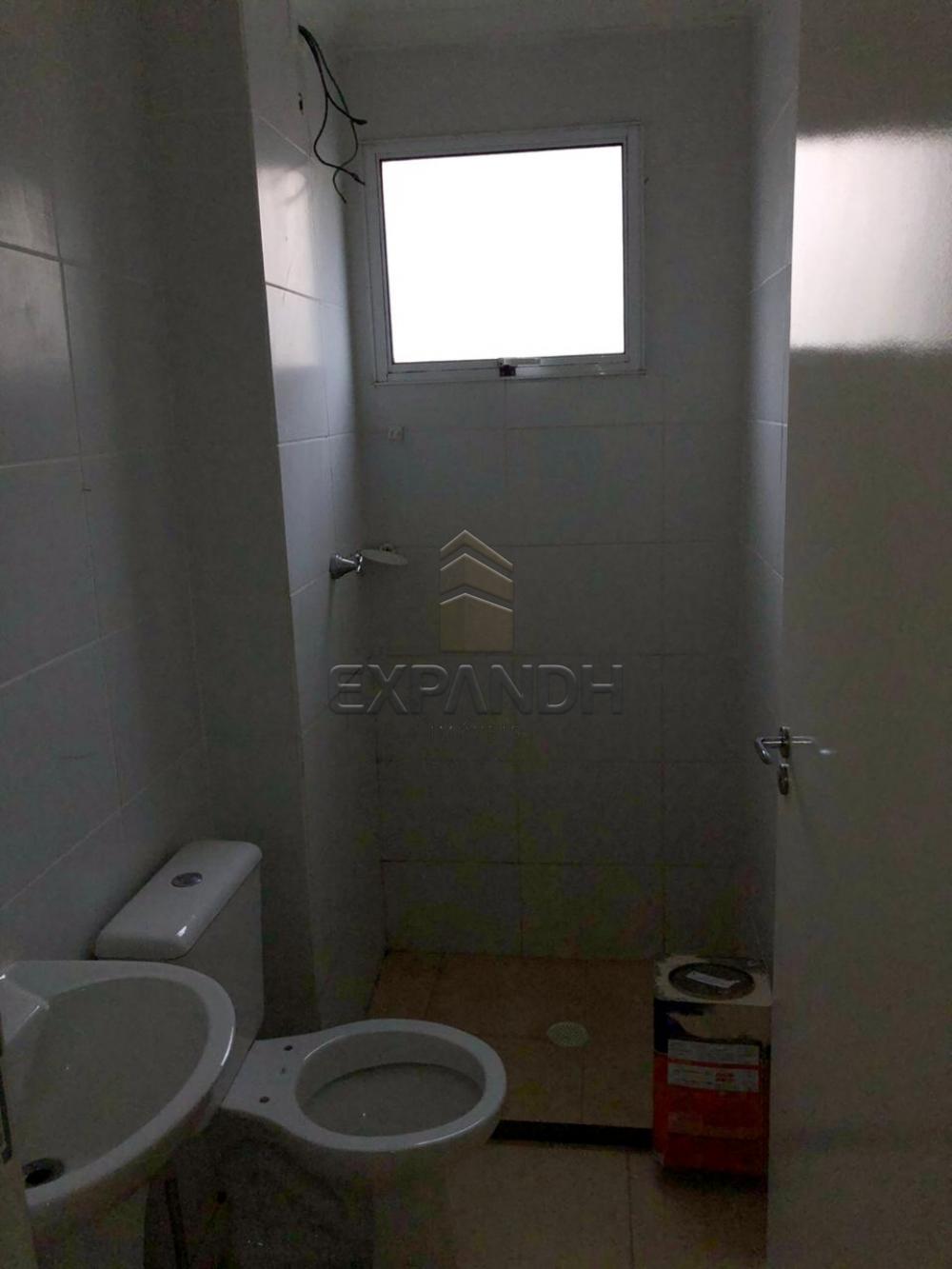 Alugar Apartamentos / Padrão em Sertãozinho R$ 650,00 - Foto 10 Alugar Apartamentos / Padrão em Sertãozinho R$ 650,00 - Foto 10