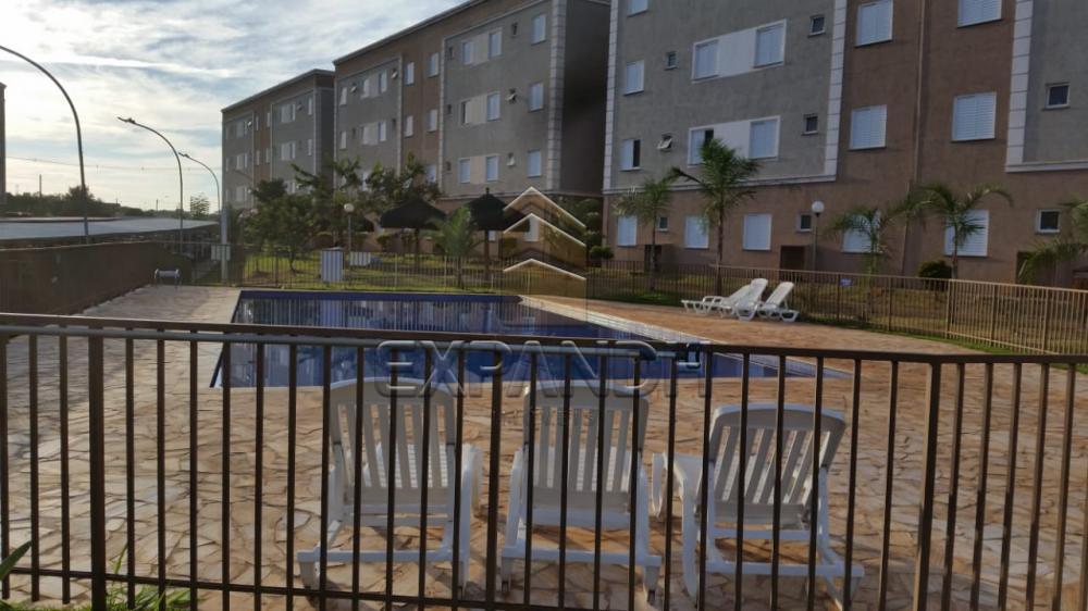Comprar Apartamentos / Padrão em Sertãozinho R$ 125.000,00 - Foto 6 Comprar Apartamentos / Padrão em Sertãozinho R$ 125.000,00 - Foto 6