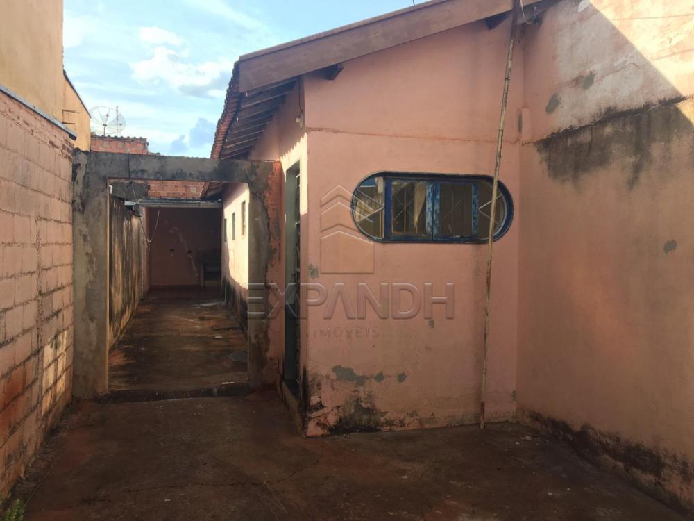 Alugar Casas / Padrão em Sertãozinho apenas R$ 900,00 - Foto 3 Alugar Casas / Padrão em Sertãozinho apenas R$ 900,00 - Foto 3