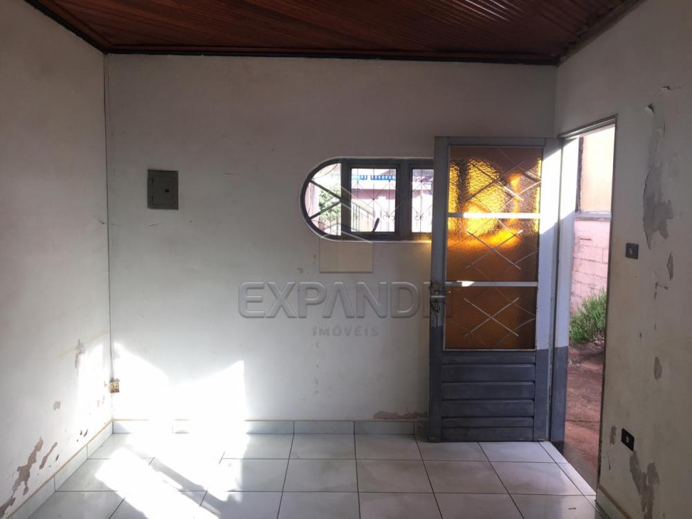 Alugar Casas / Padrão em Sertãozinho apenas R$ 900,00 - Foto 9 Alugar Casas / Padrão em Sertãozinho apenas R$ 900,00 - Foto 9
