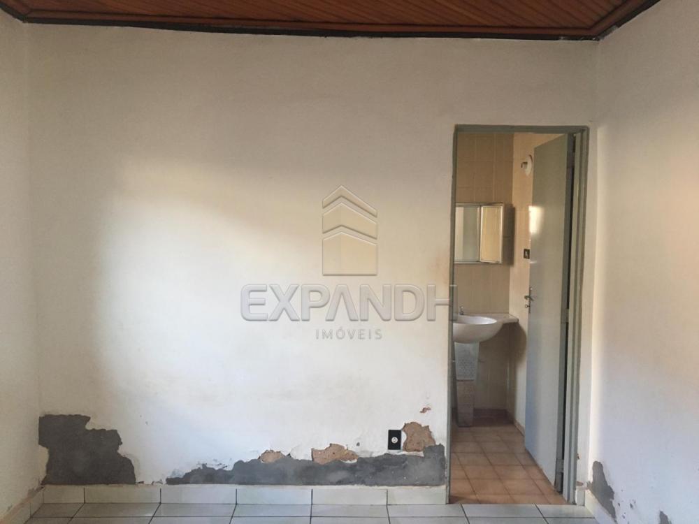 Alugar Casas / Padrão em Sertãozinho apenas R$ 900,00 - Foto 10 Alugar Casas / Padrão em Sertãozinho apenas R$ 900,00 - Foto 10