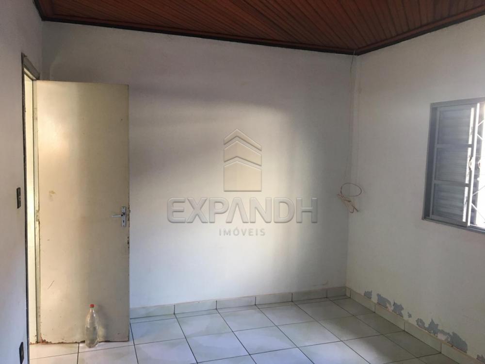 Alugar Casas / Padrão em Sertãozinho apenas R$ 900,00 - Foto 12 Alugar Casas / Padrão em Sertãozinho apenas R$ 900,00 - Foto 12