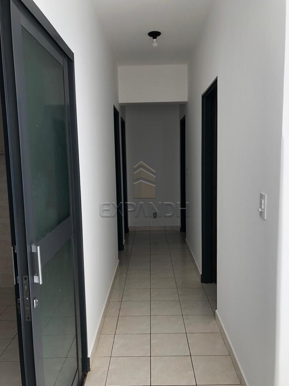 Alugar Apartamentos / Padrão em Sertãozinho apenas R$ 900,00 - Foto 3 Alugar Apartamentos / Padrão em Sertãozinho apenas R$ 900,00 - Foto 3