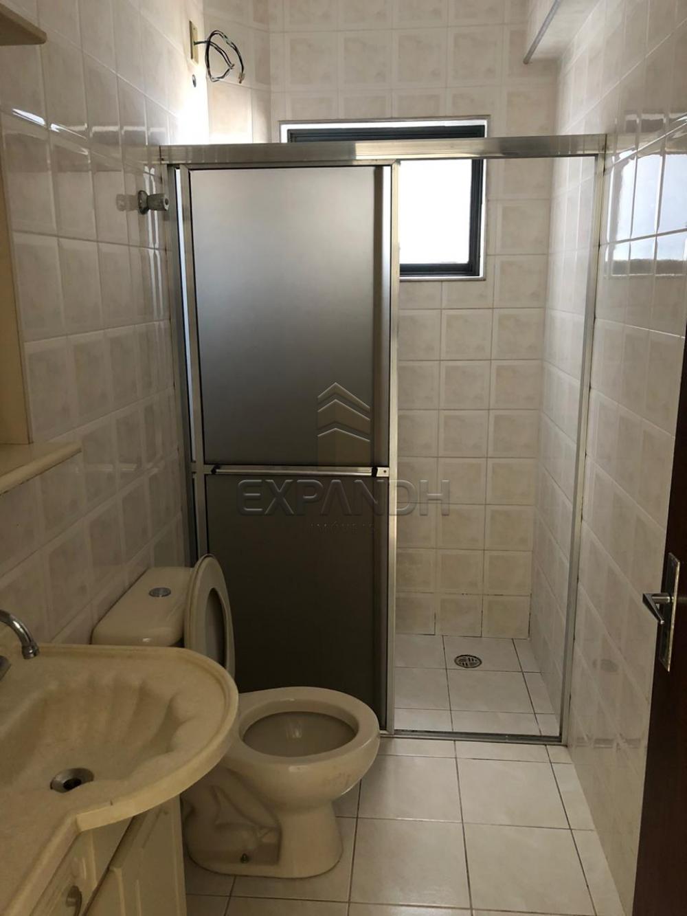 Alugar Apartamentos / Padrão em Sertãozinho apenas R$ 900,00 - Foto 13 Alugar Apartamentos / Padrão em Sertãozinho apenas R$ 900,00 - Foto 13