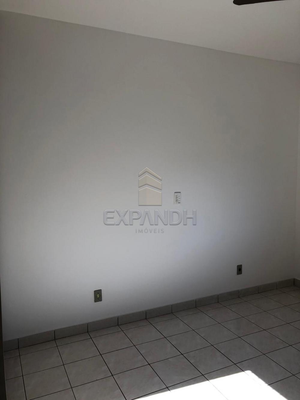 Alugar Apartamentos / Padrão em Sertãozinho apenas R$ 900,00 - Foto 14 Alugar Apartamentos / Padrão em Sertãozinho apenas R$ 900,00 - Foto 14