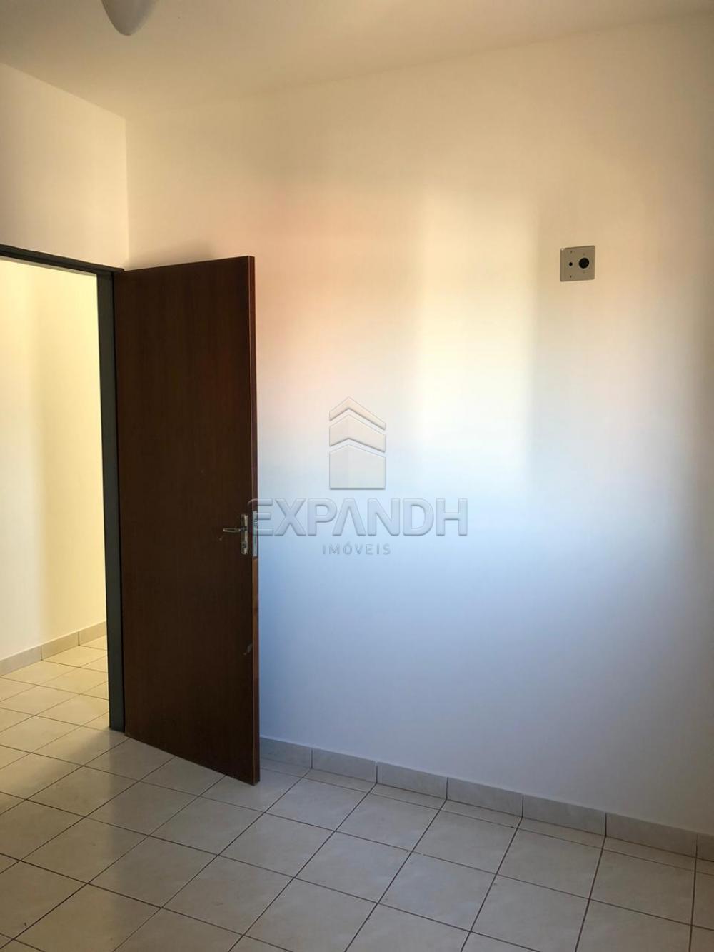 Alugar Apartamentos / Padrão em Sertãozinho apenas R$ 900,00 - Foto 21 Alugar Apartamentos / Padrão em Sertãozinho apenas R$ 900,00 - Foto 21